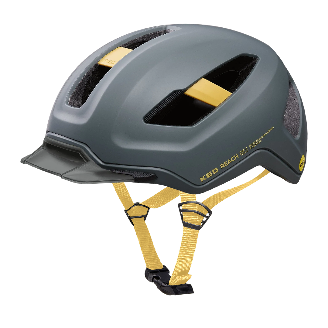 REACH DT1 - grey golden yellow
