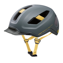 REACH DT1 - grey golden yellow