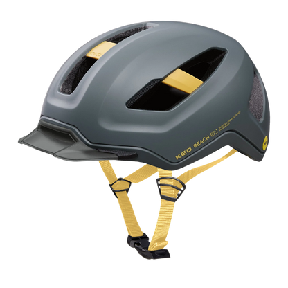REACH DT1 - grey golden yellow